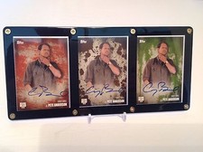 2014 Cryptozoic Walking Dead Season 3 Part 1 Trading Cards 53