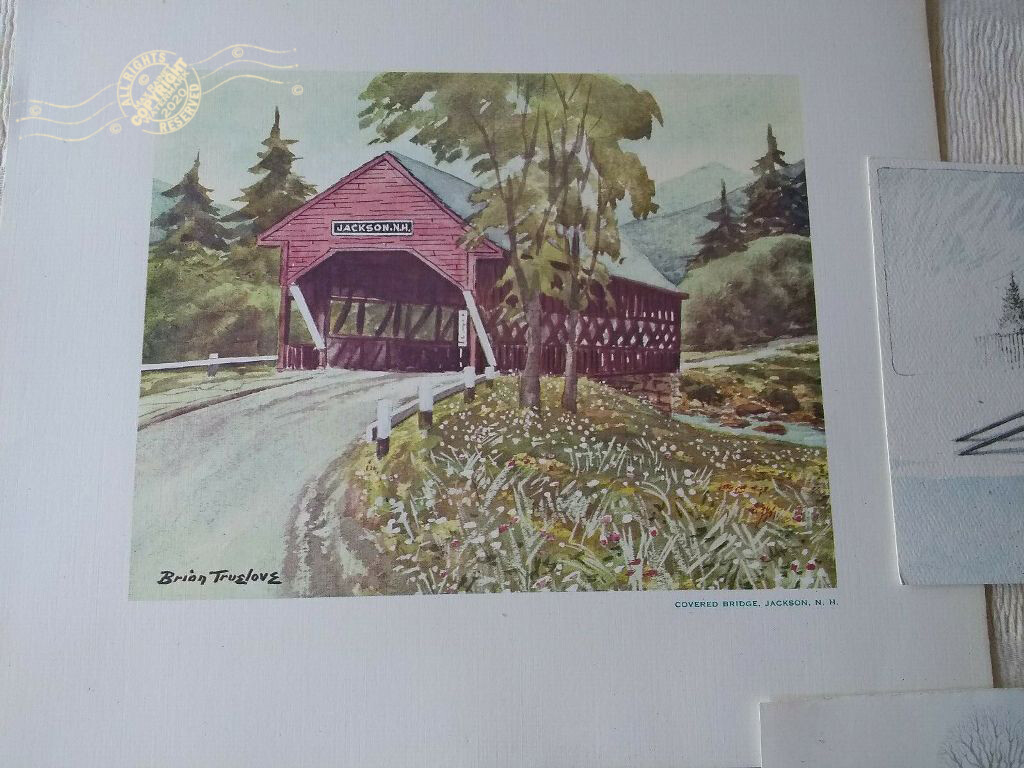 Picture 3 of 12