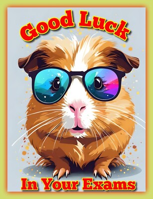 Good Luck In Your Exams Guinea Pig Card A5 Greeting Pigs Pet School ...