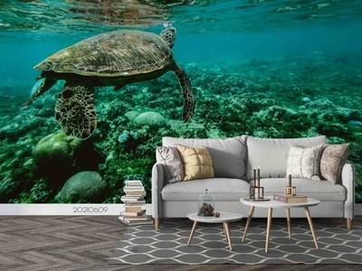 3D Ocean Turtle Close-up Wall Murals Wallpaper Murals Wall Sticker