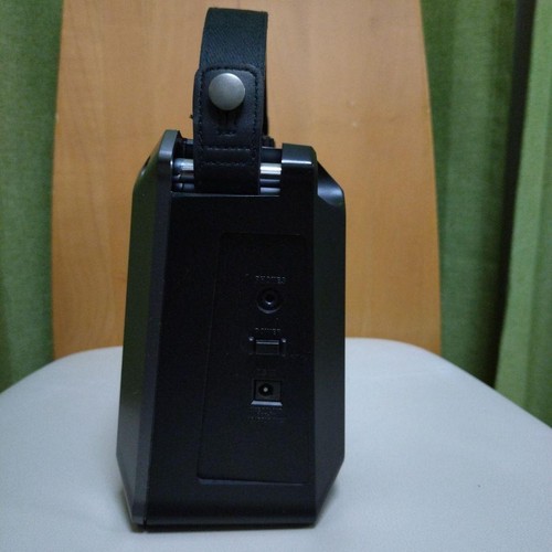 Roland Mobile Cube Stereo Portable Battery Amp with Mic & Guitar Input Effects - Imagen 5 de 7