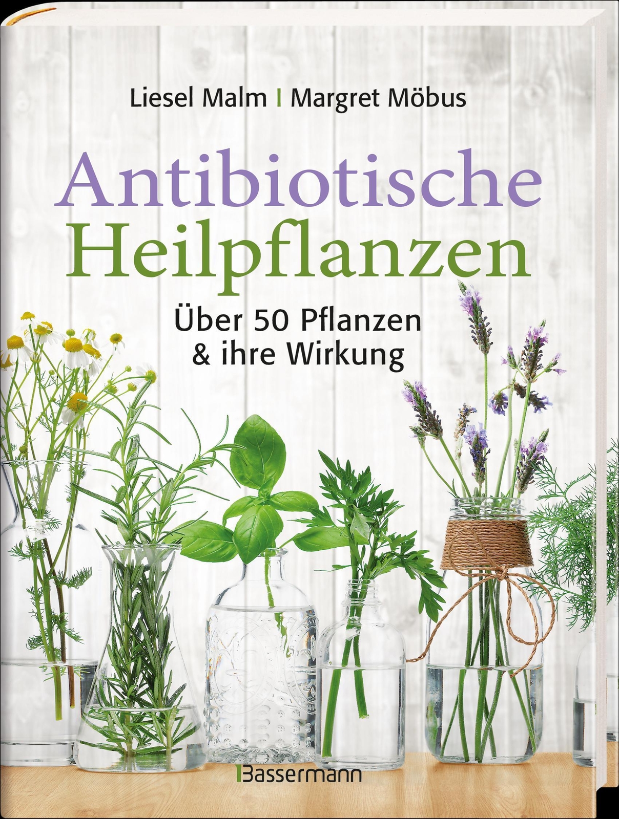 Thumbnail - Antibiotische Heilpflanzen | Über 50 Pflanzen Und Ihre Wirkung | Malm