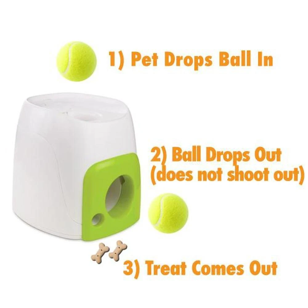 Pet Toys, Treats & Equipment 