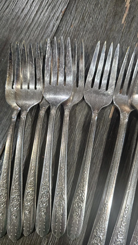 Plato Nobleza Vintage Platería Rosa Real 42 Piezas Plato Plata (B5) Foto 3 de 4