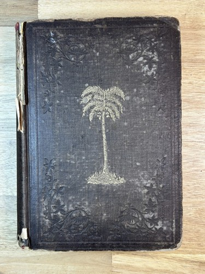 #ad Day Dawn in Africa 1858 Protestant Episcopal Mission Illustrated Foldout Map 1st $37.00
