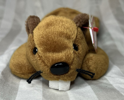 Ty Beanie Baby Bucky the Beaver style 4016 DOB 6-8-95