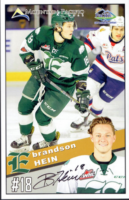BRANDSON HEIN SIGNED 5.5x8.5 EVERETT SILVERTIPS PRE-ROOKIE PROMO JUMBO CARD