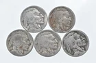 BETTER Lot 1927-S 1927-S 1928-S 192-S 1925-D Buffalo Nickel Collection *124