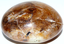 Pierre de palmier quartz AAA Guérisseur doré australien - Gallett / 2,30" (58,4 mm) / 3905