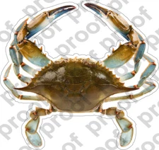 STICKER CRAB PRINTED ON CLEAR VINYL MATERIALS