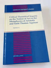 Critical Theoretical Inquiry (American University Studies) by Matthias Lu