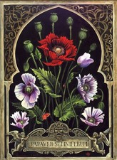 Botanical Flower - Inspirational Tarot Card Reading - Full & In-depth