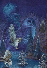 (cd67) Spirit of the Owl - Dufex / Foil Fantasy Postcard