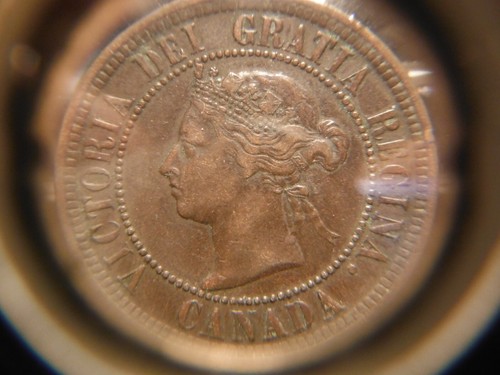 1886 Large One Cent - Obverse # 2 ***** VF - Picture 11 of 14