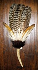 PEACOCK NATIVE AMERICAN SMUDGE FAN FEATHER AN...