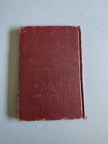 Patty Lou of The Golden West By Basil Miller Vintage Book - Picture 3 of 3