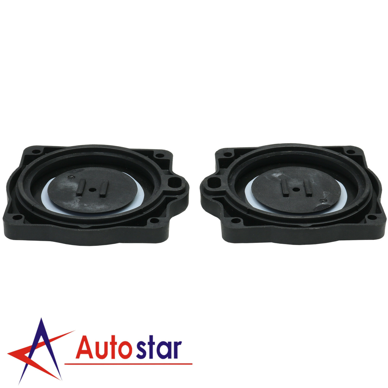 Air Pump Diaphragm Rebuild Repair Kit w/ Filter Screw Nuts