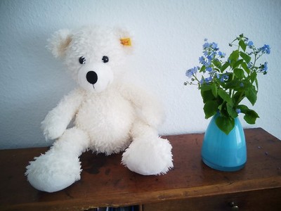 Steiff Manni Teddybär (geschenkt dazu Bärchen mit Beutel, 30 cm, wie neu