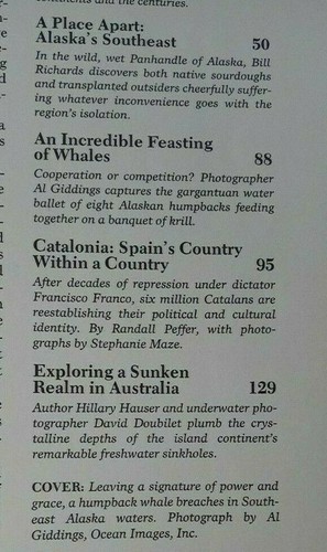 JAN 1984 NATIONAL GEOGRAPHIC SOCIETY / SOUTHEAST ALASKA / HUMPBACK WHALES - Imagen 5 de 6