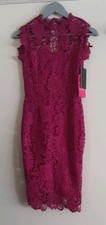 Paper Dolls Cerise Lace Embroidered Pencil Dress UK 6 Petite New