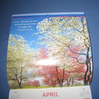 Bible Verses Mini Wall Calendar: A 2022 Calendar Bonus 2021 & 2023 (20 months) — photo 3