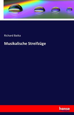 Musikalische Streifzüge | Buch | 9783741127137