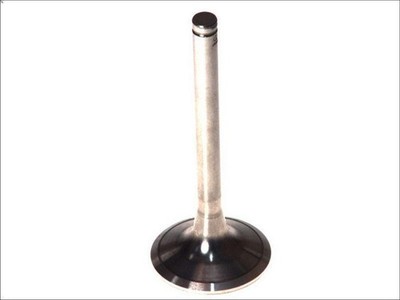 Intake Valve PARADOWSCY PMAN004 MAN SG 9.973 1994-1997