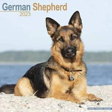 German Shepherd Calendar - Dog Breed Calendars - 2022 - 2023 wall calenda - GOOD