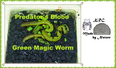 Wurmerde KRC Green Magic Worms -PREDATOR´S BLOOD- 200g