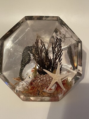 Lucite Paperweight Underwater Scene Diamond Shaped 5  Wide 3.5  Tall