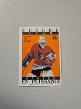 1988-89 O-Pee-Chee Sticker Darren Pang Future Star Vintage #16 Chicago Blackhawk