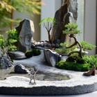 Bild 3 von 12
