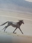 Bild 23 von 24