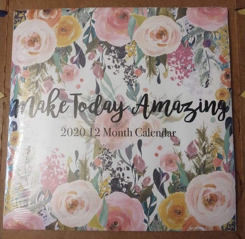 Make Today Amazing 2020 12 Month Calendar by Tara Moss- New Sealed