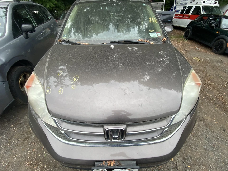 Used Hood fits: 2011 Honda Cr-v Grade C - Image 2 of 4
