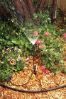 Foto 13 di 13