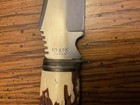 Precise Silver Eagle Hunting Knife, Clip Point Stainless, Stag Handle — photo 4