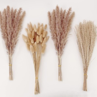 Natural Dried Pampas Grass & Bunny Tails Boho Decor - 100pc