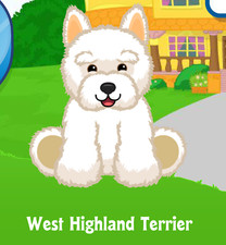 Webkinz West Highland Terrier Virtual Adoption Code Only Messaged Webkinz Westie