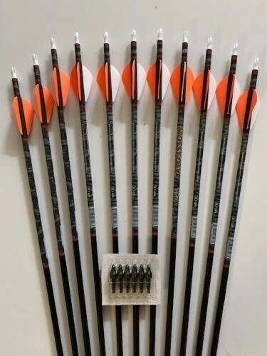 VICTORY ARCHERY VICTORY CARBON PREMIUM ARROWS 1 DOZ 29" ONLY Blow OUT SALE List $169 Now $65 !
