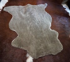 Trimmed Curly Cotswold Sheepskin Rug - The Softest of Leathers - Natural Decor