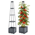 2 Pack Raised Garden Bed Tomato Planter Box with Trellis 65 Self Watering Toma
