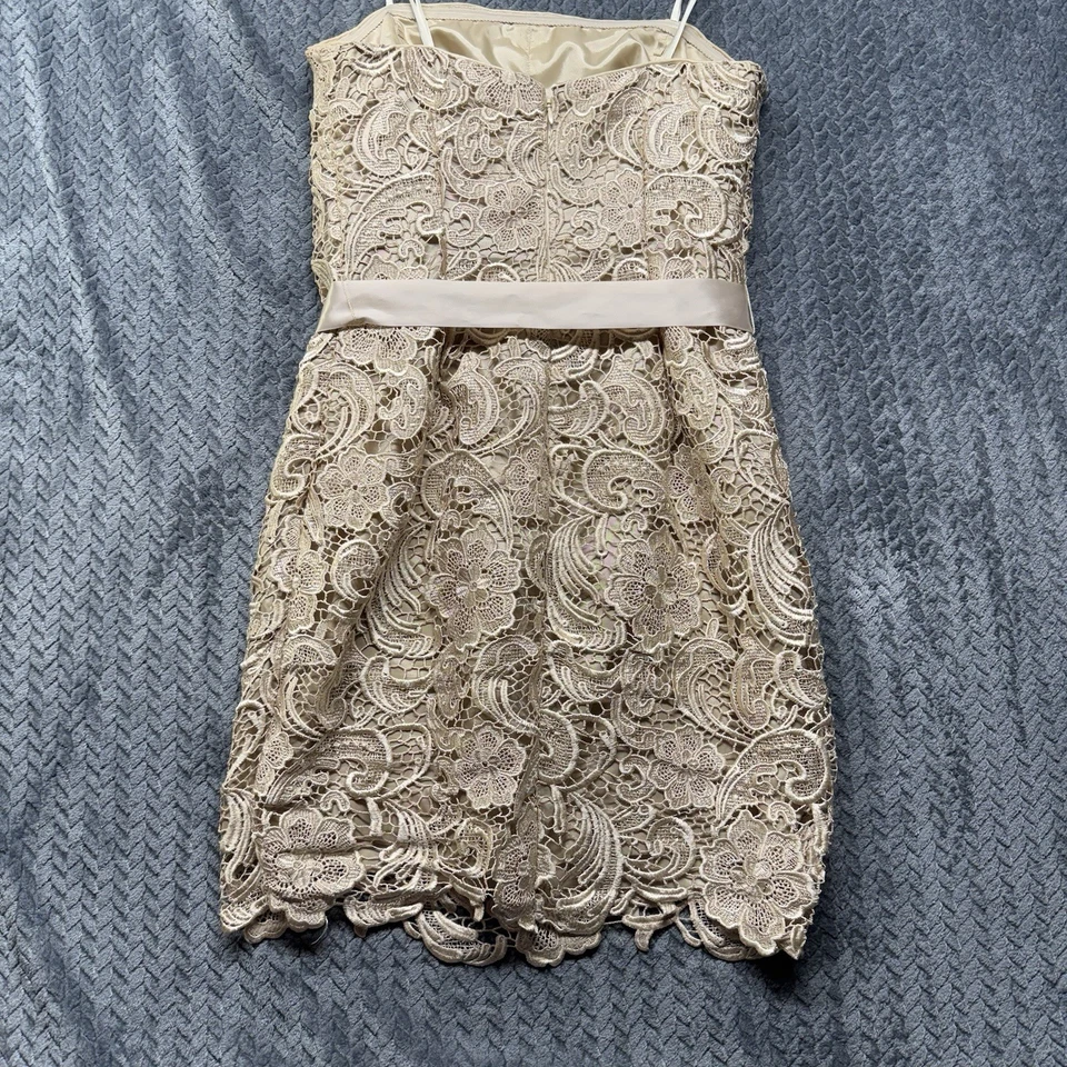 Vestido de cóctel Adrianna Papell Boutique de encaje 10 beige sin tirantes cinta de satén Foto 4 de 4