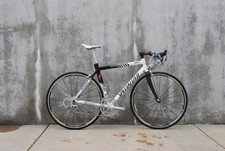2003 Specialized Allez Comp 56cm Acqua-Sapone Zebra Paint, Cipollini