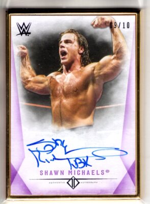 2019 Topps WWE Transcendent Auto SHAWN MICHAELS Gold Framed 09/10