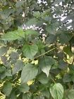 Bild 6 von 7