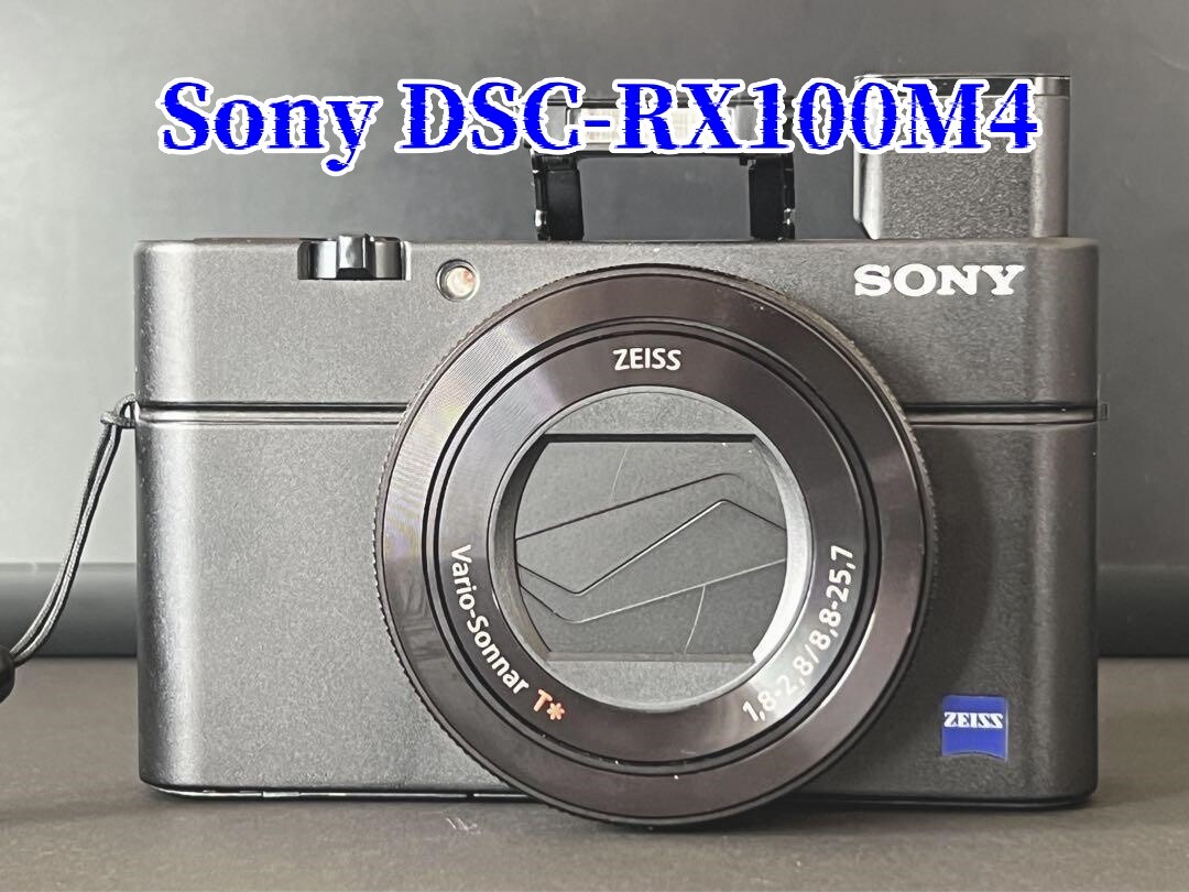 極美品】SONY Cyber-shot DSC-RX100 純正カメラケース付 【公式