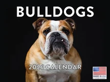 Bulldog Calendar 2026 Bull Dog Monthly Wall Calender 12 Month 12x18
