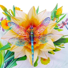 Dragonflies with Floral, Pop Up Card, 3D Popup Greeting Cards for all occasion