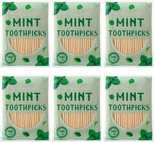 600 Pcs Mint Flavor Toothpicks Bulk Natural Wood Flavored Cinnamon Toothpicks